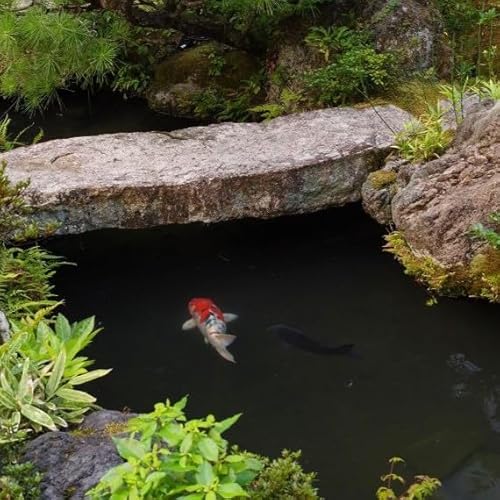 南禅寺参道 菊水 ホテルギフト券3万円分|京都 南禅寺 老舗 料理旅館 宿泊券 宿泊ギフト券 割引券 チケット 旅館 ホテル 宿泊 旅行 観光 グルメ ふるさと納税