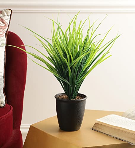Image of Foliyaj Real Look Artificial Plant with Black Pot and Tall Green Grass for Interior Decor | Faux Plant for Desks, Shelves and Side Tables for Your Home and Office | Fake Plants for Indoor Decoration