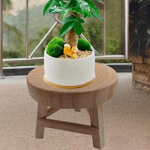 Support rond en bois pour plantes de salon protège parquet et sol - 7