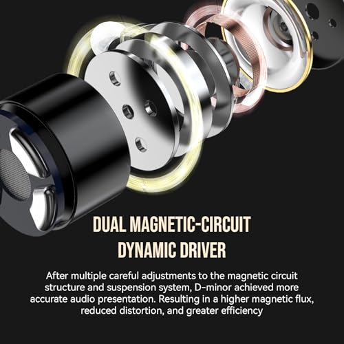 Image of Linsoul TWISTURA D-Minor in Ear Monitor, 10mm Dual-Magnetic LCP Dynamic Driver Earphone IEM, Wired Earbuds with Replaceable Tuning Nozzle, Detachable Cable for Musician Audiophile (Without Mic)