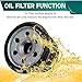 Hisun Oil Filter 2PCS Compatible with Hisun Sector UTV ATV 250 400 450 500 550 700 750 750Crew,Axis,Massimo,Colemen,Cub Cadet Challenger Parts(Not Fit for Axis x550 xs750)