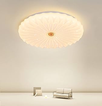 シーリングライト リモコン 星空効果8畳10畳 心に咲く蓮の花 Amazon.co.jp : YOULIN LED シーリングライト 心に咲く蓮の花 星空効果