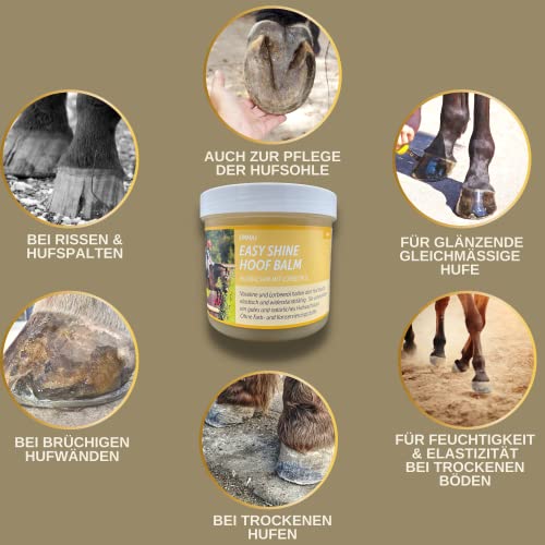 EMMA Huffett Horses with Laurel Oil 500 ml Hoof Gel Yellow I Hoof Balm for Horses Healthy Hooves I Apply Hoof Fat Horse with Brush Against Dry Hooves & Jet Rot Horse Medium I Hoof Fat Blasting Agent - Image 3