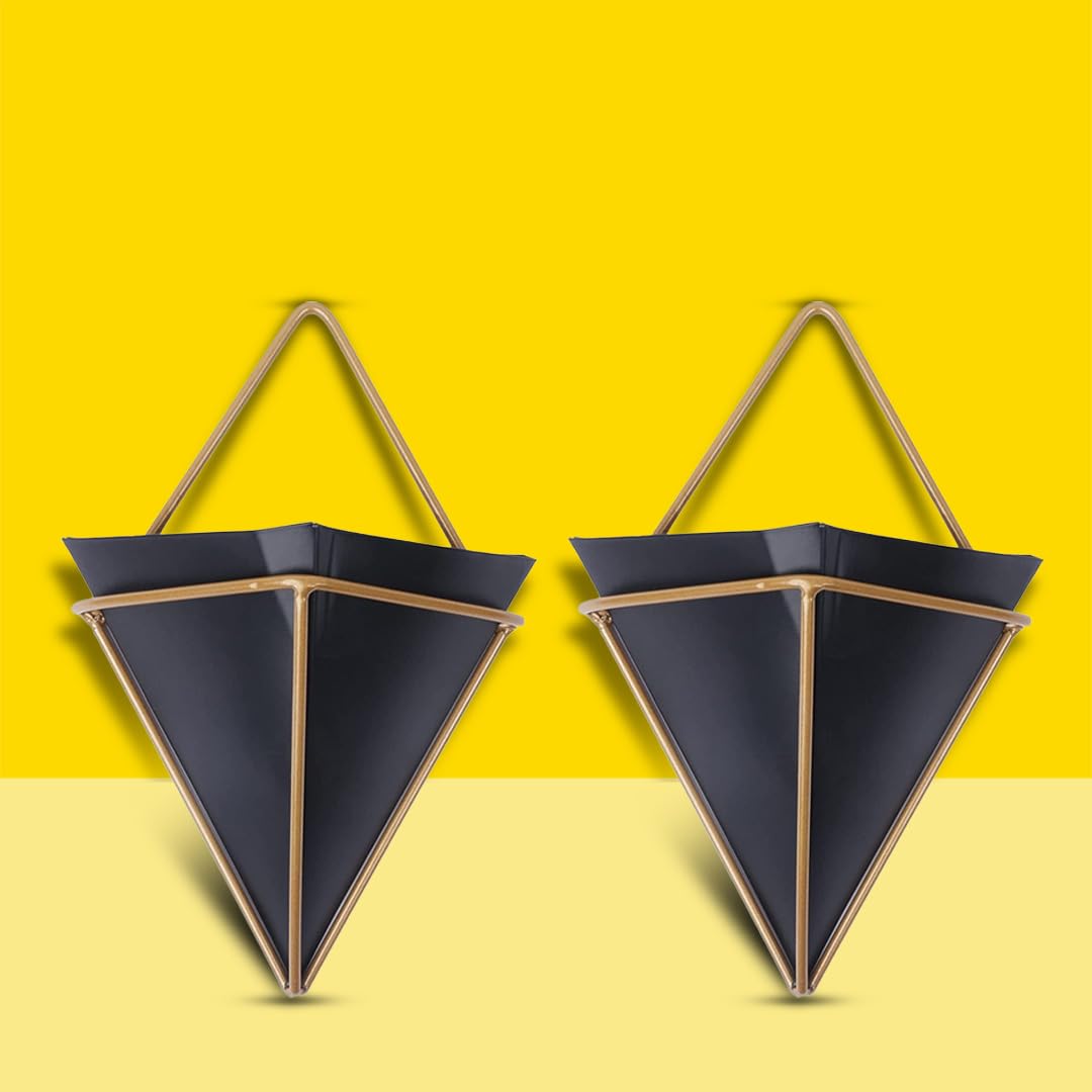 Kraft Seeds Vase Black-Gold