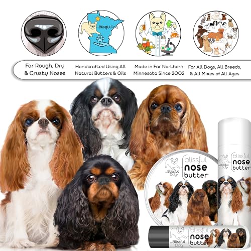 Image of The Blissful Dog English Toy Spaniel Unscented Nose Butter, 16oz