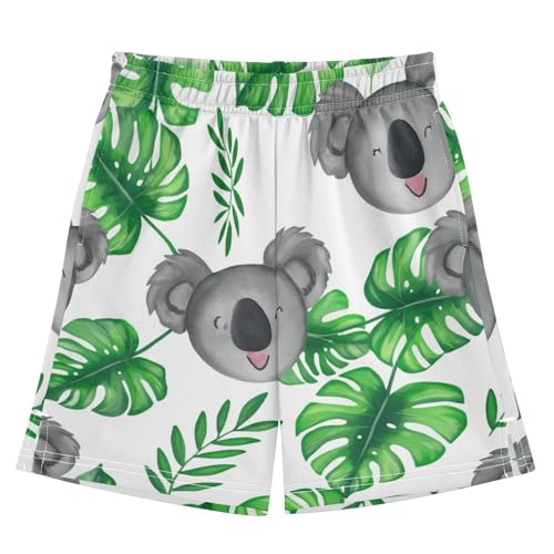 J JOYSAY Koala Monstera Leaves White Boys Athletic Shorts Kids Youth Casual Shotrs with Elastic Waistband Pockets