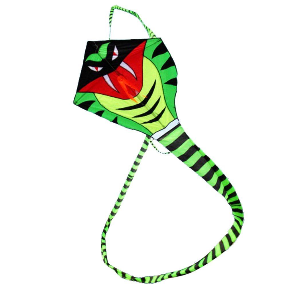F FABOBJECTS® Large Long Snake Kite Rattlesnake Kite with Long Tails  Outdoor Fun Sports 15m : Amazon.in: Home & Kitchen