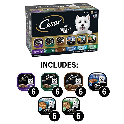 CESAR Adult Wet Dog Food Classic Loaf in Sauce Poultry Lovers Variety Pack, 3.5 oz. Easy Peel Trays with Real Chicken, Turkey or Duck, Pack of 36 CESAR Adult Wet Dog Food Classic Loaf in Sauce Poultry Lovers Variety Pack, 3.5 oz. Easy Peel Trays with Real Chicken, Turkey or Duck, Pack of 36