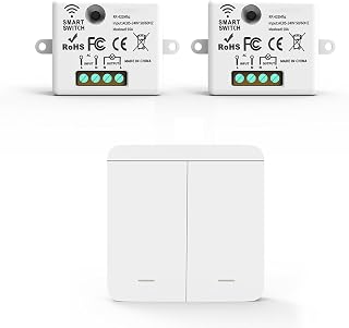 Kit interrupteur d'éclairage intelligent WiFi – Récepteur + interrupteur sans fil, télécommande intelligente compatible avec l'application Tuya et Google Home/Alexa (2 récepteurs et 1 interrupteur (2