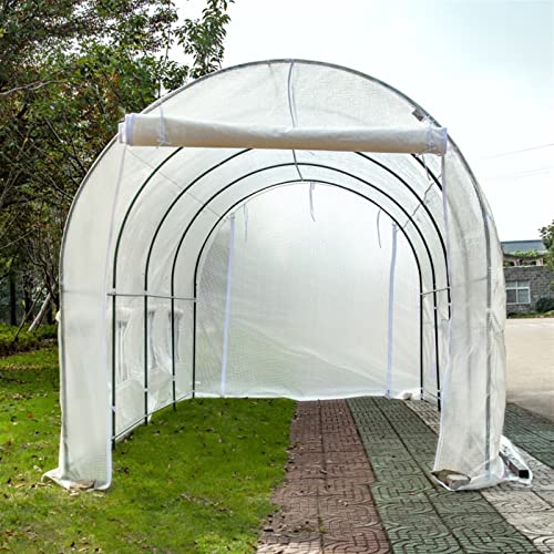 HOLGVE Grandes Casas Verdes Invernadero de túnel sin Llamar, con Cubierta, Puerta con Cremallera y Ventanas enrollables, Tienda de jardín para Patio Trasero, para jardinería de Plantas al Aire Libre