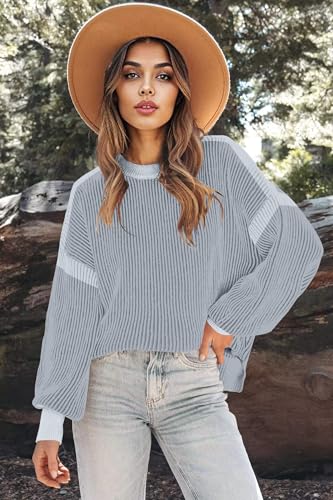 Image of Zeagoo Women 2026 Fall Lightweight Oversized Sweater Crew Neck Long Sleeve Color Block Pullover Rib Knit Blouse Tops XS-2XL
