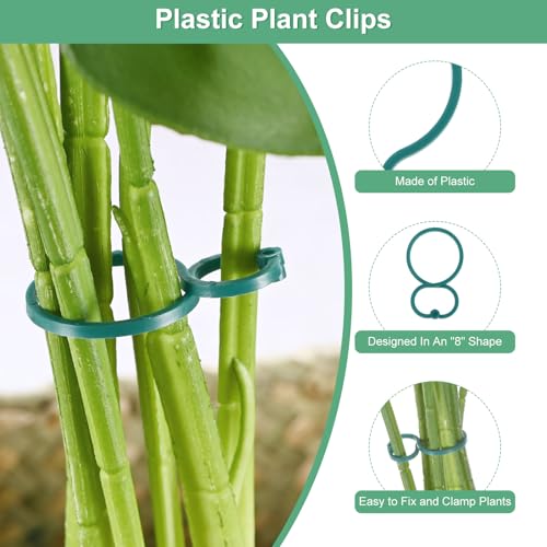 Clips de support pour plantes M METERXITY x200 pour tomates et vignes - 3