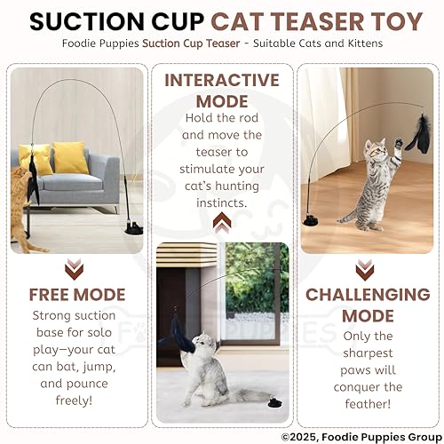 Image of Foodie Puppies Cat Teaser Playing Wand with Feather (Suction Cup Cat Teaser) for Cats and Kittens | Vibrant Interactive Bell Hanging Spring Wand | Fun Teasing, Catching, Chasing and Bonding Play