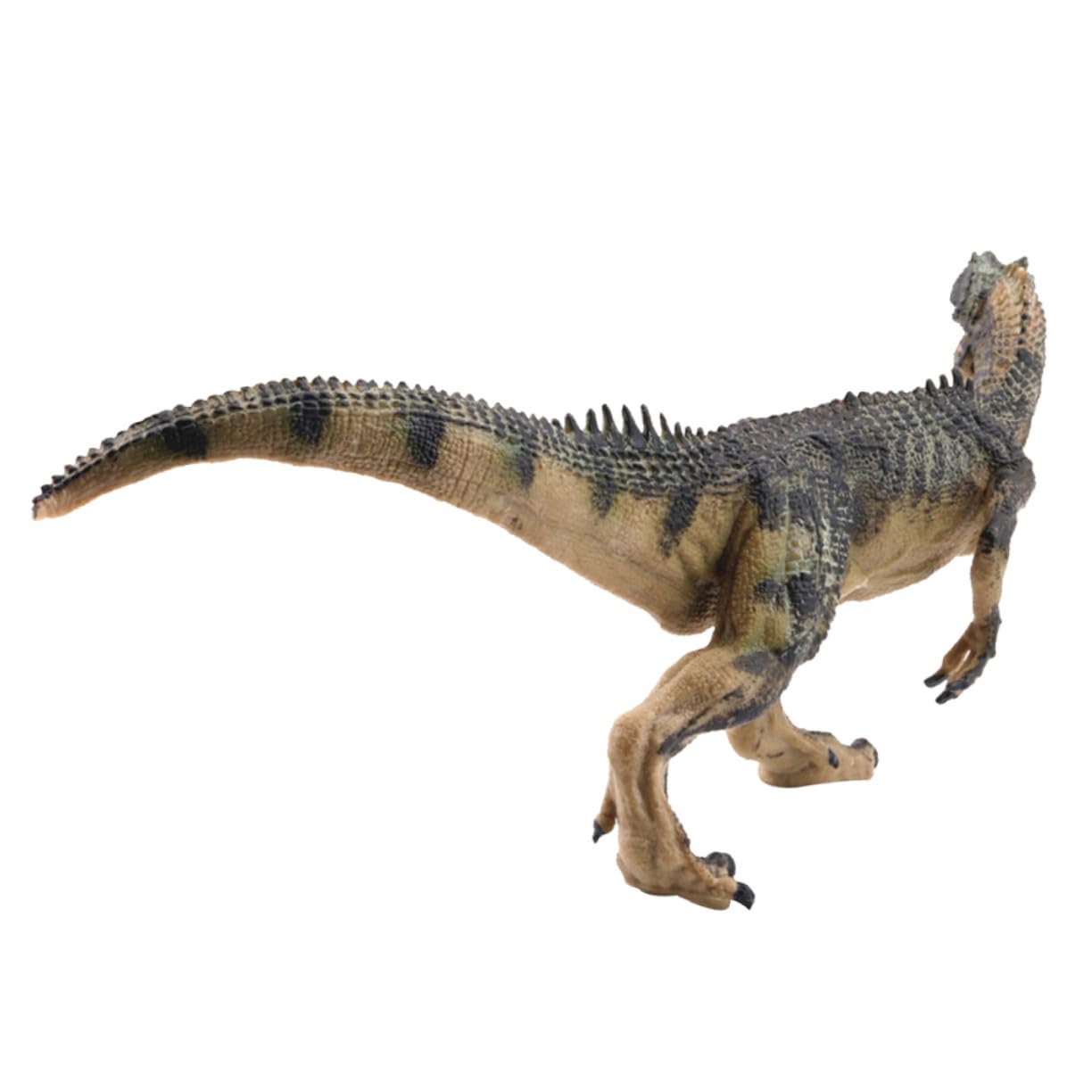 Vaguelly Allosauro Verde – Giocattolo Dinosauro Realistico In Plastica, Figura Decorativa Per Scrivania (25 Cm)