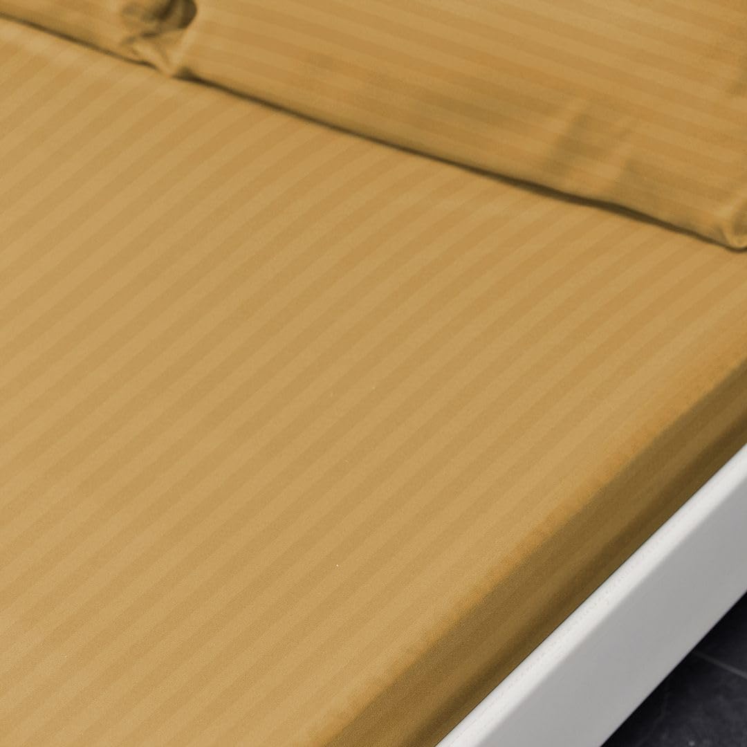 John Aird Striped Microfibre Plain Fitted Sheet (Single, Ochre)