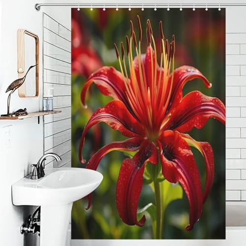 Rideau de douche baignoire imperméable anti-moisissure avec crochets 122x183
