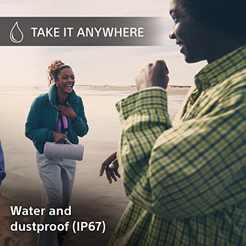 Sony Portable Speaker, Grey, One Size - Image 5