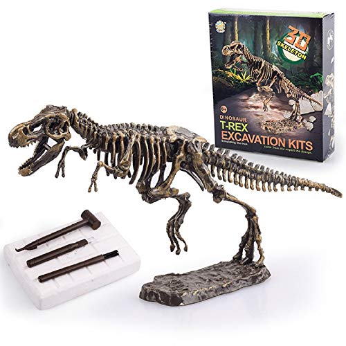 Dinosaur Excavation Kit, Mini Dinosauri Scavare Giocattoli, Dino Kit di scavo fossile con T. Rex, Spinosaurus, STEM Giocattoli Educativi per Archeologia e paleontologia & Kids