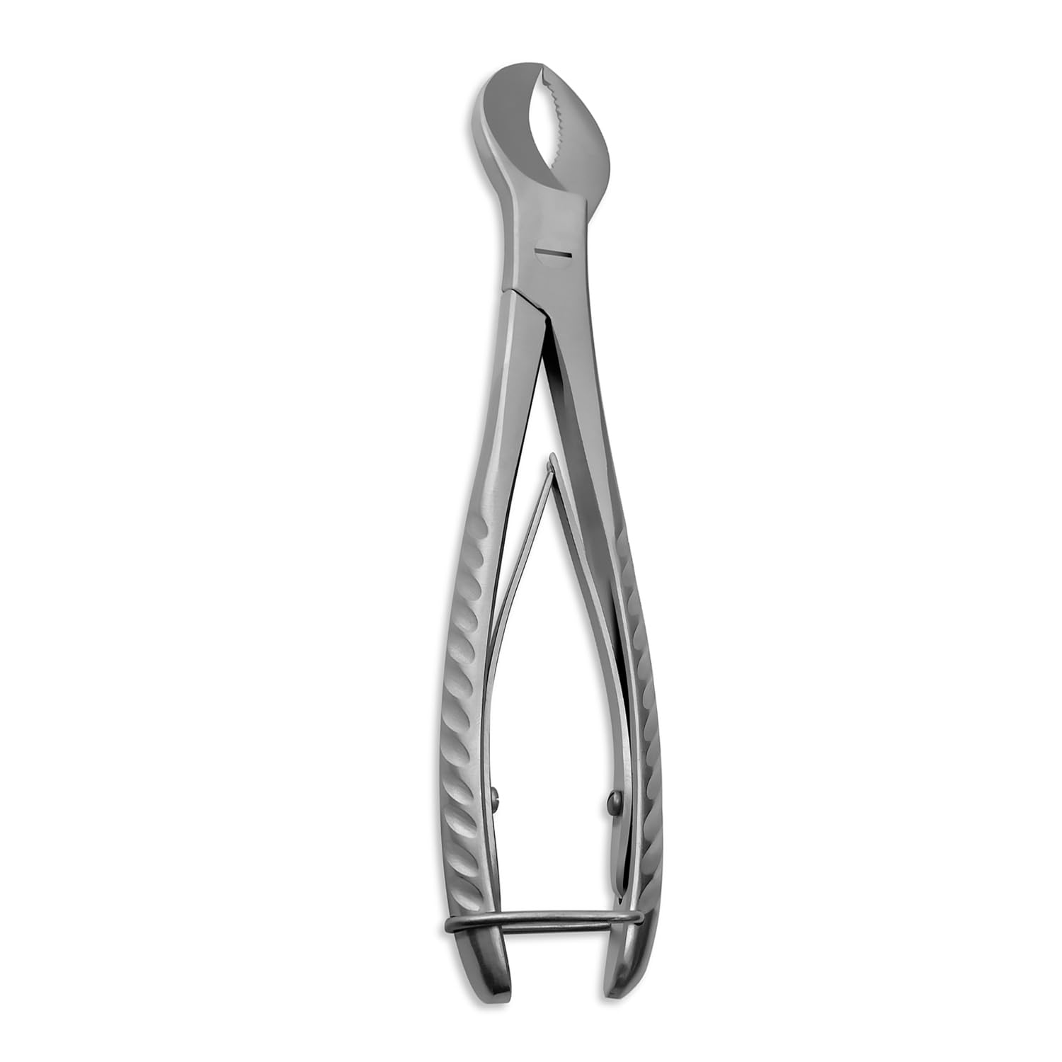 Cast Spreader 3 Prong, Burn Cast & Plaster Shear, Scissors Pliers Forceps Plaster Opner Orthopedic Tools Instruments German Grade Stainless Steel (Cow Horn Nipper)