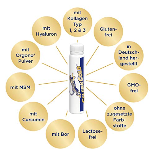 GelenkGold Gelenk-Ampullen 30 Kollagen Trinkampullen á 25ml, Collagen Drink mit Hyaluronsäure für Gelenke Knorpel und Sehnen