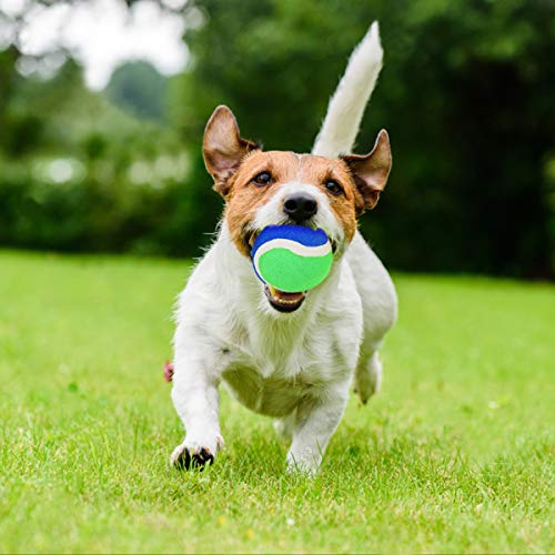 Everich Toy Beach Toys Outdoor Games For Kids Ages 3-10-Yard Lawn Games Ball Catch Games Paddle Toss-Upgraded Version Outside Games For Kids/Family Boys And Girls Gifts (2 Rackets, 2Balls, 1 Bag) #TOP7