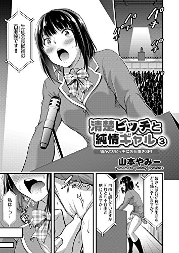清楚ビッチと純情ギャル 3 猫かぶりビッチにお仕置き3p Comicグレープ 山本やみー マンガ Kindleストア Amazon