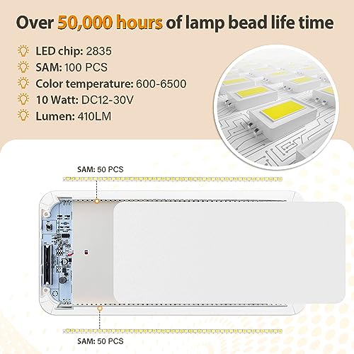 BraveKoi Plafoniera LED 12v per Camper,Lampada LED...