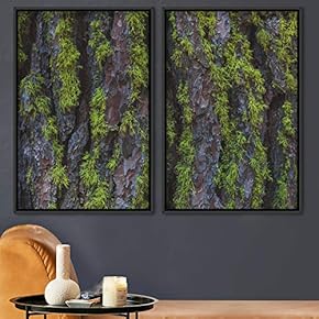 signwin 2 Piece Framed Canvas Wall Art Greenlands...