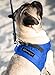 Comfort Fit Dog Harness No Pull with 2 Leash Clips Step in Harness for Small Sized Dogs Soft Padded Comfortable All Weather Dog Vest with Easy Control Adjustable Buckles for Dogs & Puppies – Blue XS