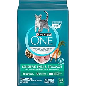 Purina ONE Sensitive Stomach, Sensitive Skin, Natural Dry Cat Food, +Plus Sensitive Skin and Stomach Formula – 3.5 lb. Bag
