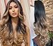 24 Inches Curly Wavy 3/4 Weave Loose Curls Half Head Wig Long OMBRE (Natural black to honey blonde)