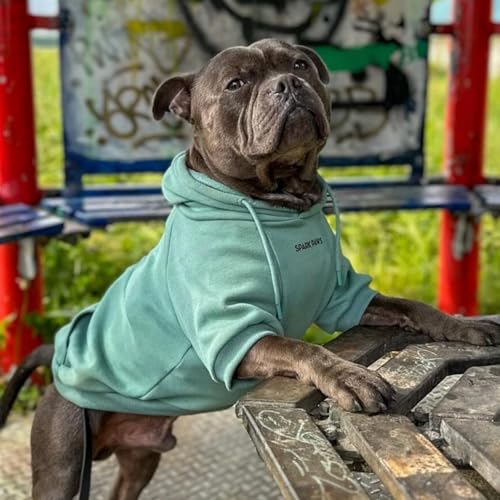 Spark Paws Hunde-Kapuzenpullover – Premium-Qualität, butterweich, hervorragender Komfort und Passform, beruhigende Fleece-Innenseite, geeignet für alle Rassen - Teal - 2XL