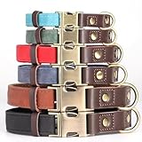 Didog Weich gepolstertes Lederhalsband für mittelgroße Hunde, klassisches Hundehalsband mit Metall-Schnellverschluss, verstellbar, mittelgroß, Kunstleder, grün, M