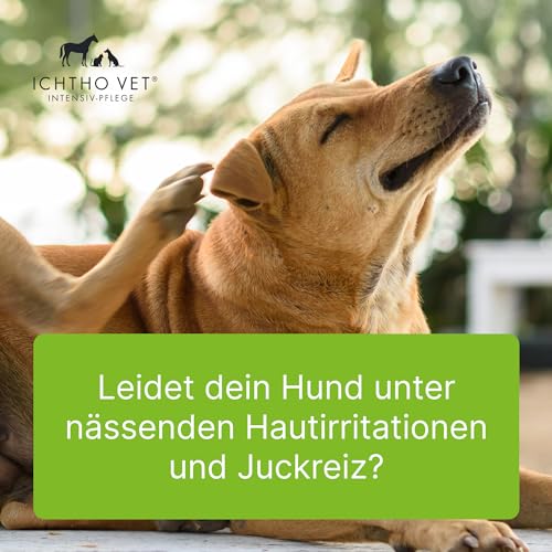 Ichtho vet Derma-Gel von Heel Vet - Sanfte und effektive Pflege bei feuchten Hautirritationen für Haustiere | Natürliche lntensivpflege | Made IN Germany