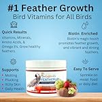 FeatherUp! Bird Vitamins with Biotin for Beautiful Plumage - Feather Growth Supplements for Parrots - 90 gm - 240 Servings - Image 4