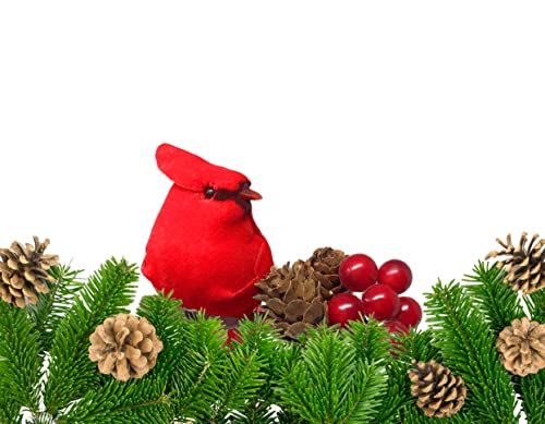 image for BANBERRY DESIGNS Cardinals Chrismtas Ornaments - Set of 6 Floral Clip-