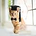 Garneck 2Pcs Small Animal Graduation Caps with Bow Tie - Mini Bachelor Hats for Pets - for Hamster Graduation Holiday Costumes and Fun Photo Props