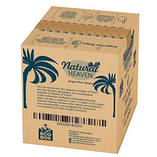 ECOBOX Natural Heaven Pasta Substitute | Angel Hair Hearts of Palm Noodle | 4 Count 9 oz | Environmental friendly - Thumbnail 2