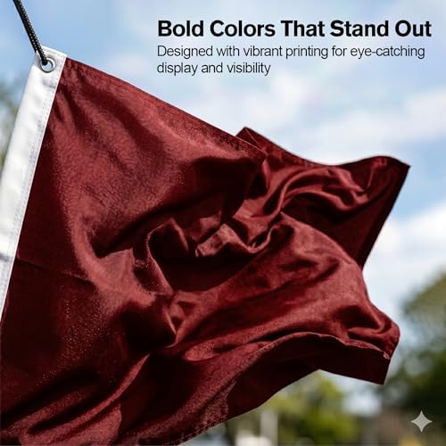 DMSE Solid Burgandy Flag, 3x5 Flag, UV Resistant, Fade Resistant Material with Metal Grommets (3ft x 5ft), (Nylon), (Burgandy) by DMSE Wholesale - Image 7