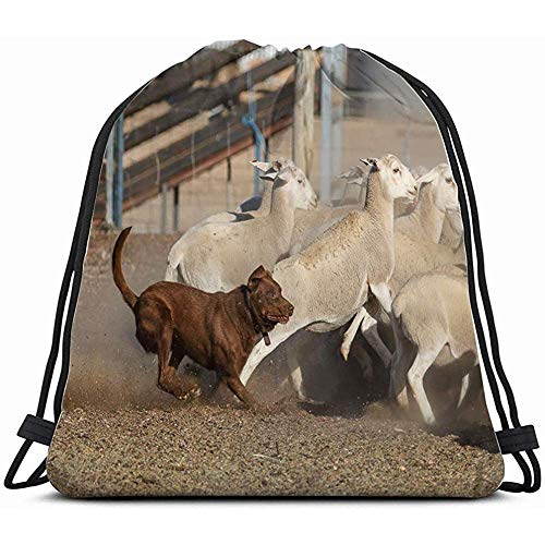 Somedays High Grade Lettiera Pieghevole Impermeabile Lettiera Carrier Box Gatto Lettiera Esterno Prodotti Per Animali Domestici Gatti