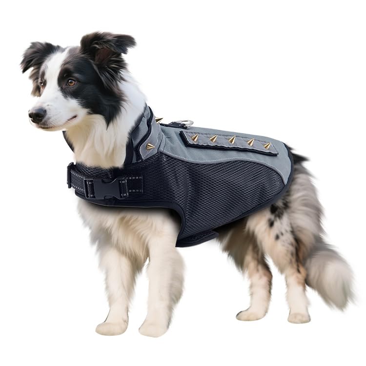 BT Bear Dog Anti Bite Suit,Dog Thick Padding Vest with Rivet Nail Anti Attack Pet Jacket for Puppy Small Dogs (XS,Grey)