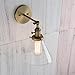 PERMO Single Sconces with Funnel Flared Glass Clear Glass Shade 1-Light Wall Mount Sconce Wall Lamp (Antique Gold)