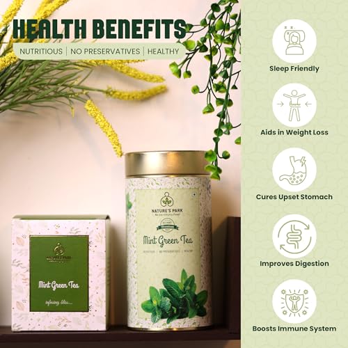 Image of Nature's Park - Mint Green Tea - 100gm Loose Leaves - Supports Digestion & Boosts Immunity - Stress Relief & Relaxation - Cool & Refreshing - Made with 100% Loose Leaf & Mint - Peppermint Herbal Tea