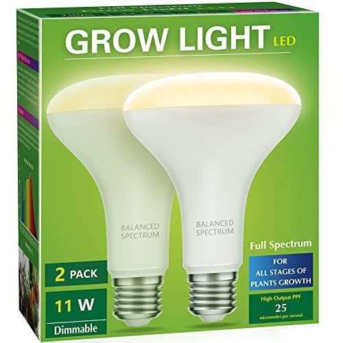 Top 10 Best Led Grow Light Bulbs [2021 Reviews]