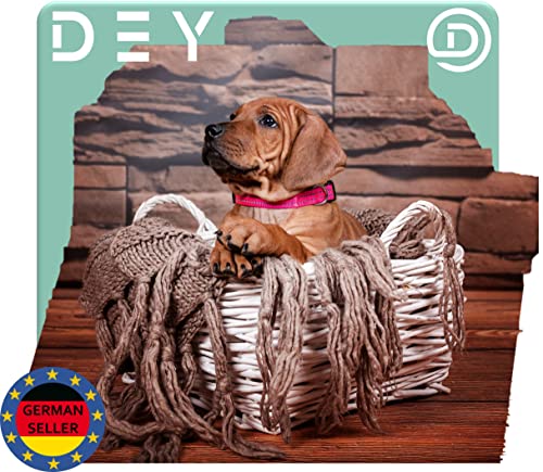 DEY - Premium Hundehalsband Nylon, Reflektierend, Verstellbar, für Kleine u. Große Hunde, viele Farben u. Größen, Hund Welpe, Hunde-Halsbänder, Katzen-Halsband, Welpen-Halsband, Grün, S