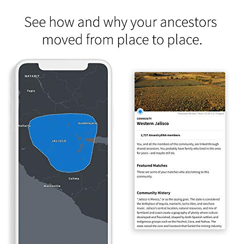 AncestryDNA: Genetic Ethnicity Test, Ethnicity Estimate, AncestryDNA Test Kit