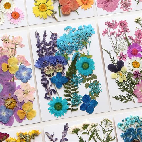 Flores Secas Prensadas Naturales para Resina Epoxi Set miniatura 6