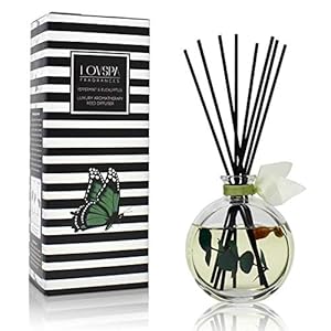 Lovspapepperminteucalyptusunwindluxuryhomefragrancediffuserreedssetablendoffreshpeppermintsprigsaromaticeucalyptuscreamyvanilla Urban Country Home Decor Lovspa peppermint eucalyptus unwind luxury home fragrance diffuser reeds set a blend of fresh peppermint sprigs aromatic eucalyptus creamy vanilla urban country home decor