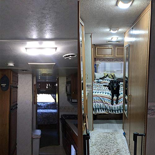 Auxlight 20 Pcs 1156 1141 1003 7506 Ba15S Rv Interior Light Bulbs, Super Bright 50Smd Led Replacement For 12 Volt Rv Camper Trailer Boat Trunk Interior Lights (6000K Xenon White) #TOP7