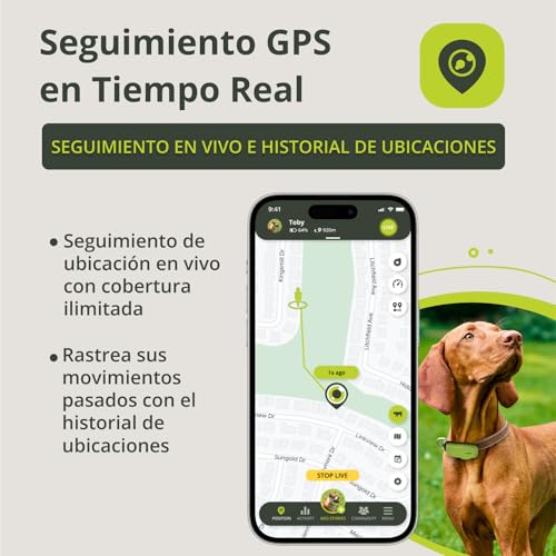 Kippy Dog | GPS para Perros - Rastreador GPS Impermeable para Perros con sujeción para Collar - Seguimiento de Actividad y Salud para tu Perro, con GEOFENCE y notificaciones - Color Verde - Imatge 3